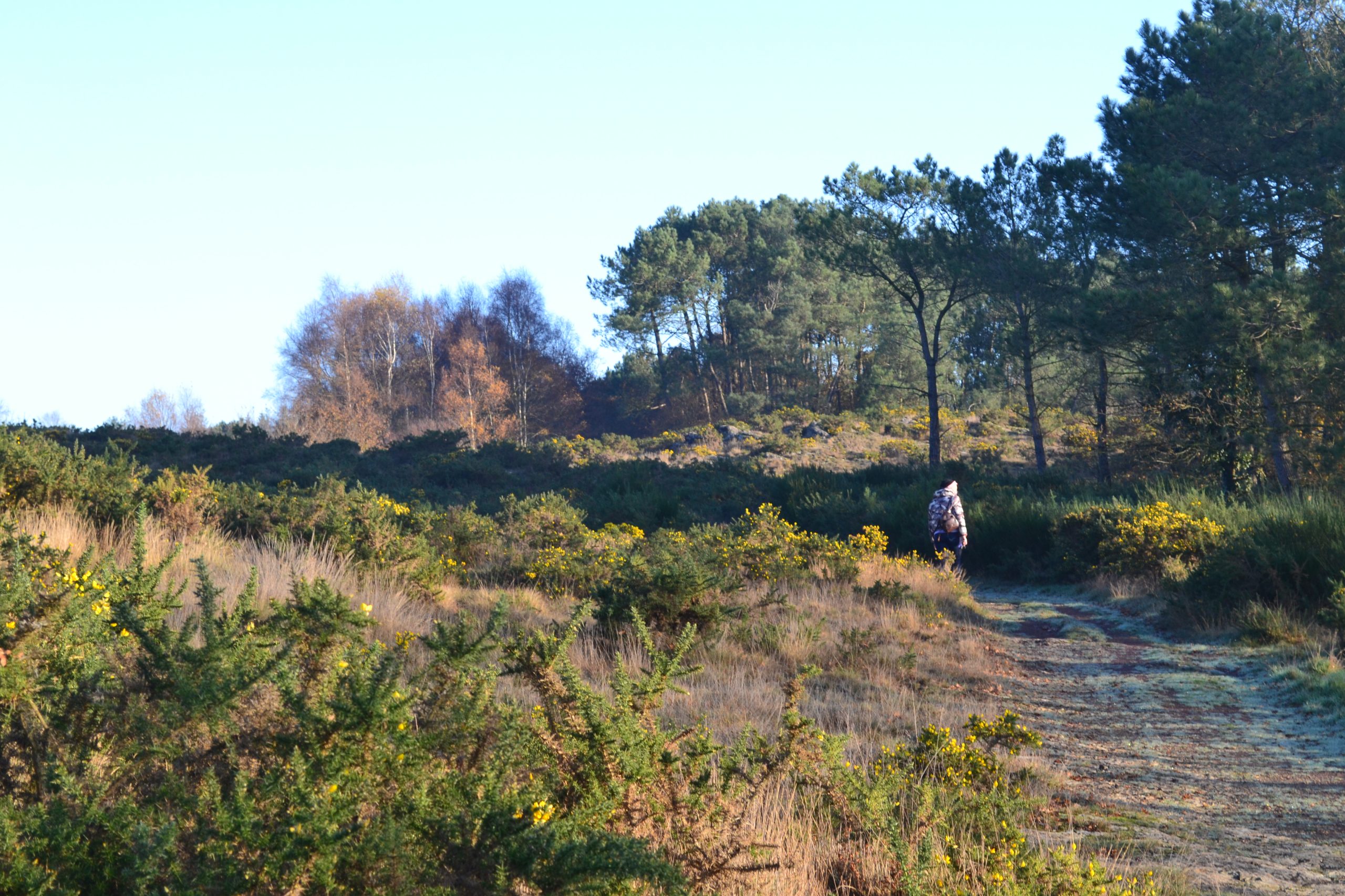 rando contée brocéliande guide conteuse