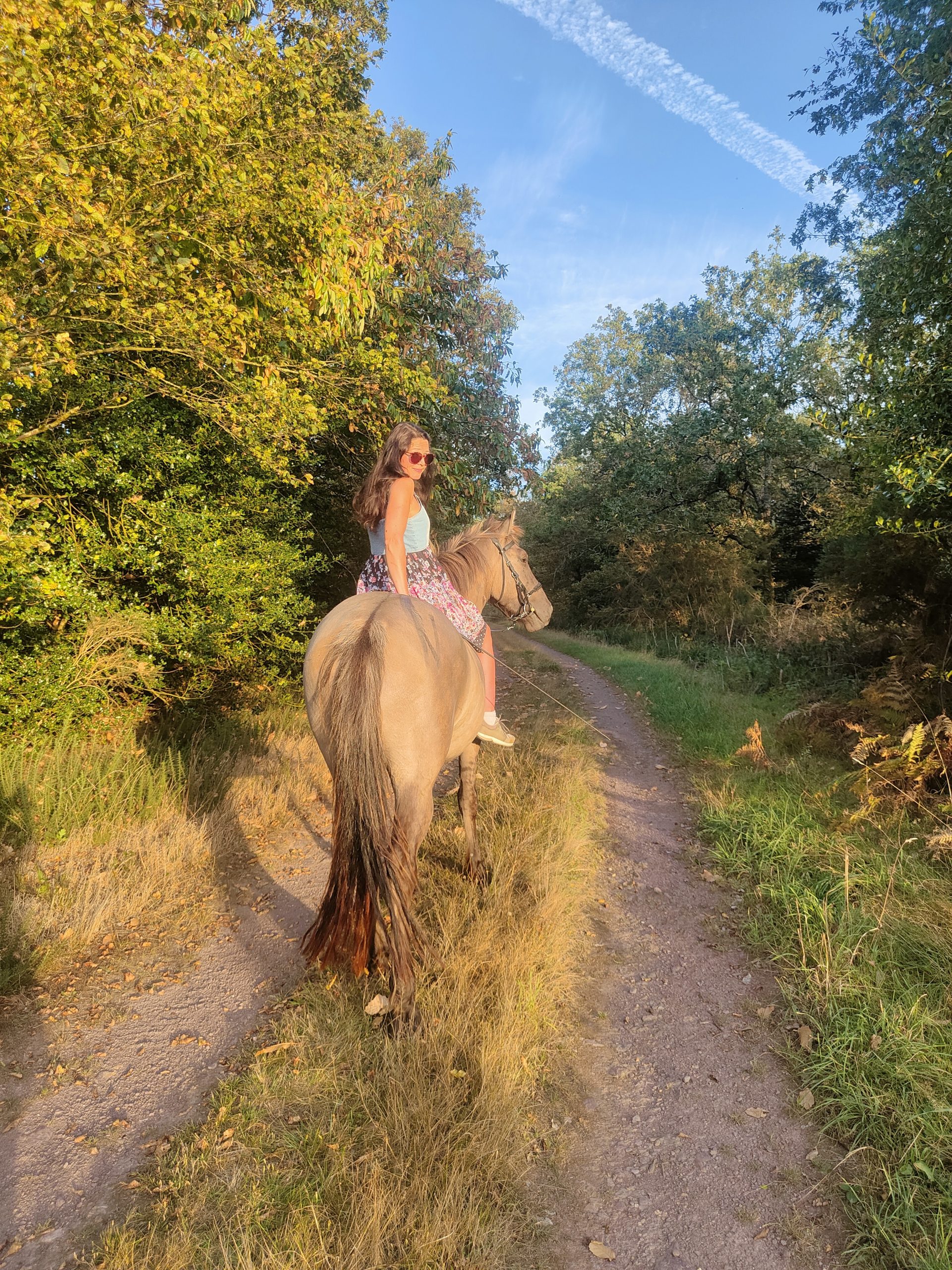 cheval brocéliande